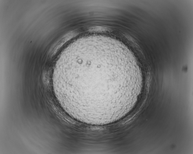 X0000115101017200912081254