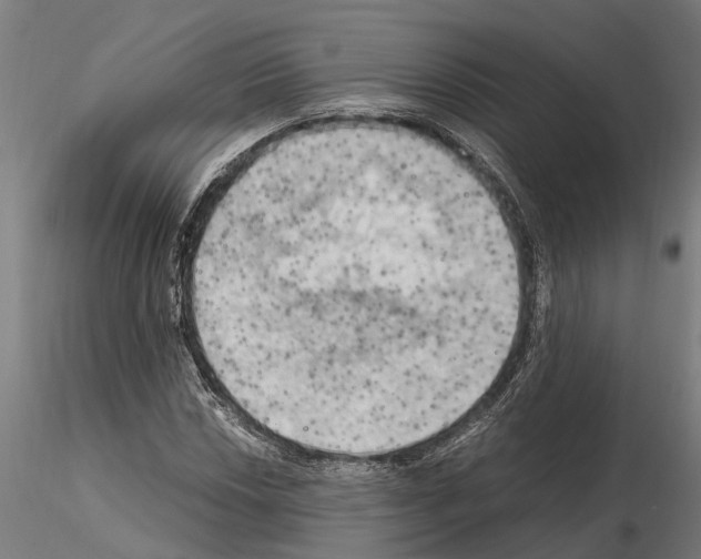 X0000115101018200912081254