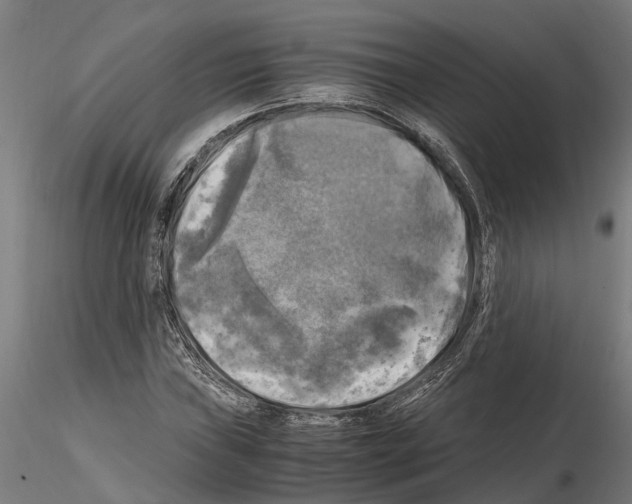 X0000115101019200912081254