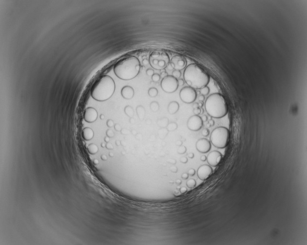 X0000115101020200912081254