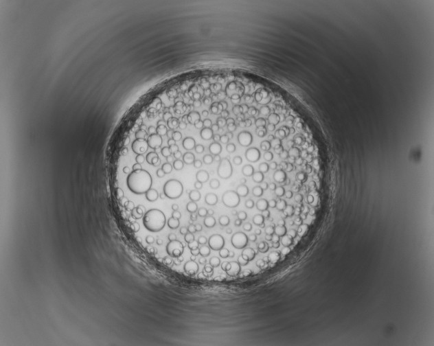 X0000115101022200912081254