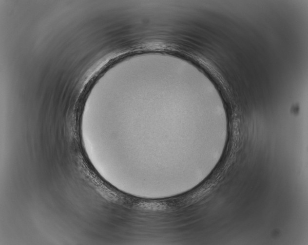 X0000115101023200912081254