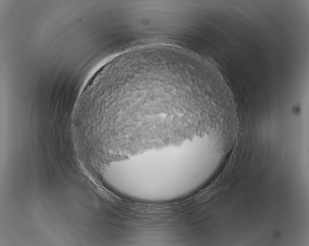 X0000115101024200912081254