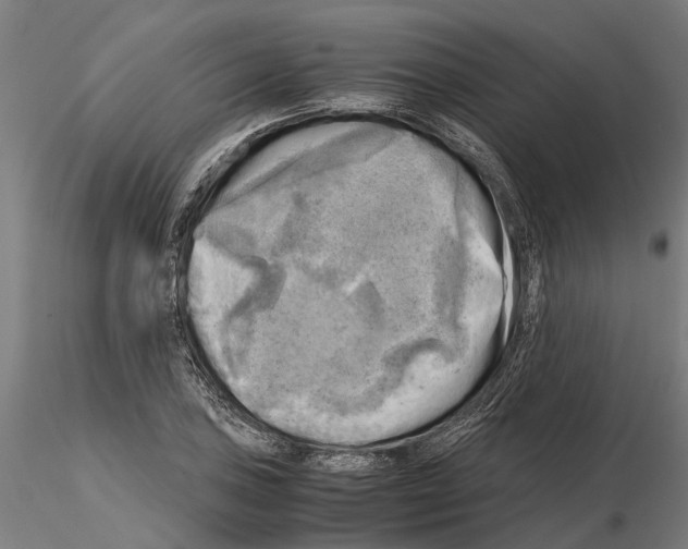 X0000115101027200912081254