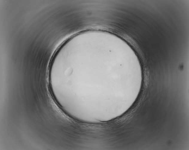 X0000115101028200912081254