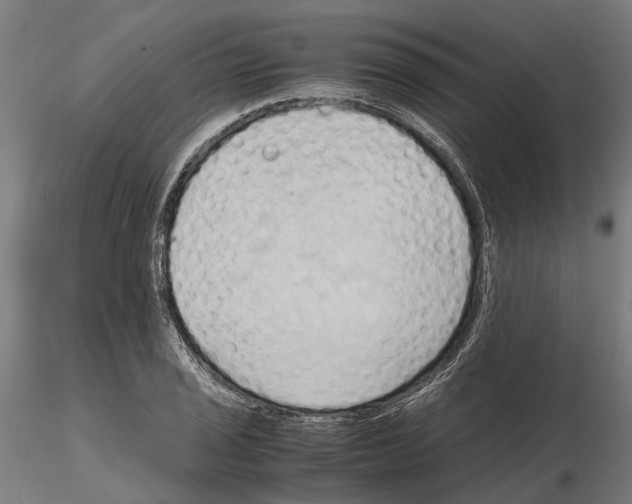 X0000115101029200912081254