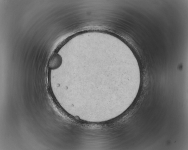 X0000115101030200912081254