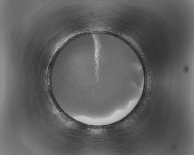 X0000115101031200912081254