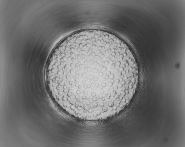 X0000115101032200912081254