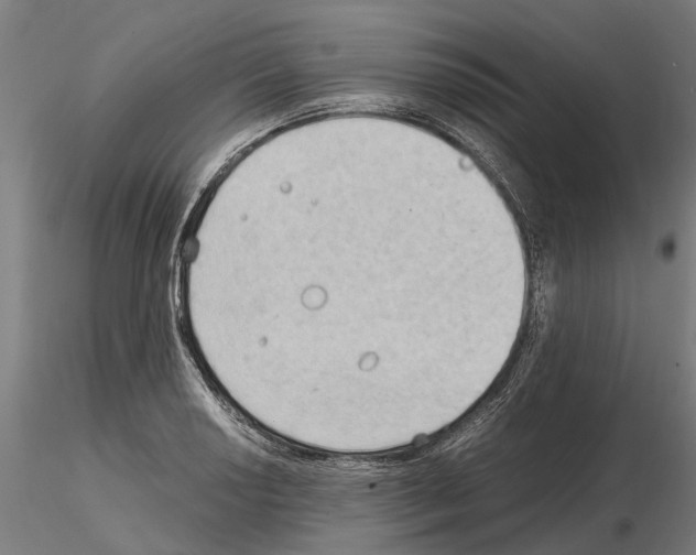 X0000115101034200912081254