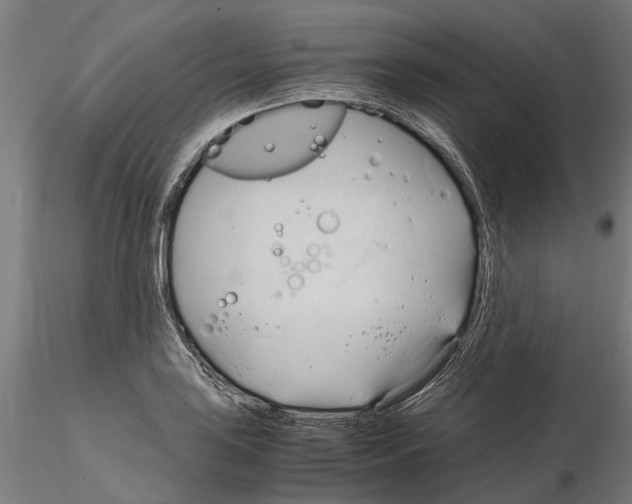 X0000115101035200912081254