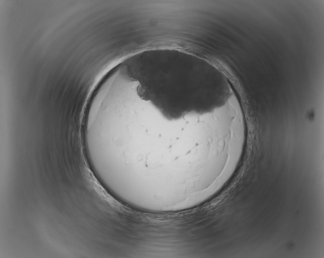 X0000115101036200912081254