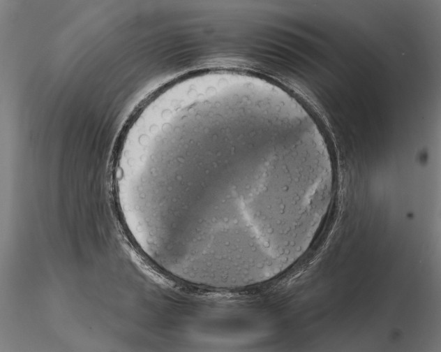 X0000115101037200912081254