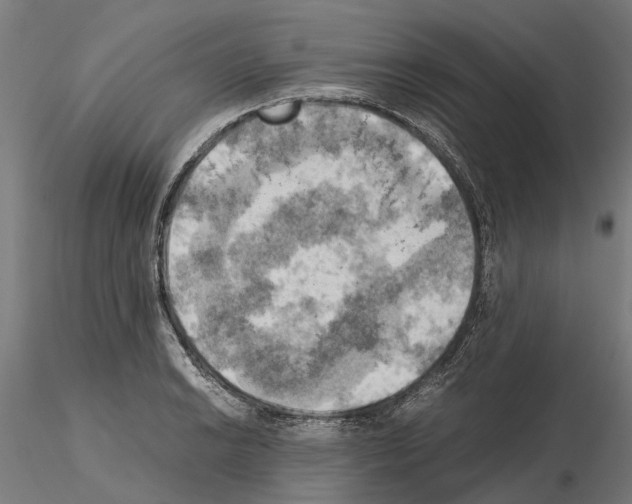 X0000115101038200912081254