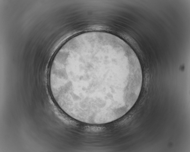 X0000115101039200912081254