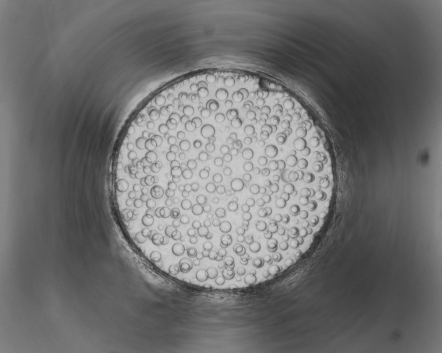 X0000115101040200912081254