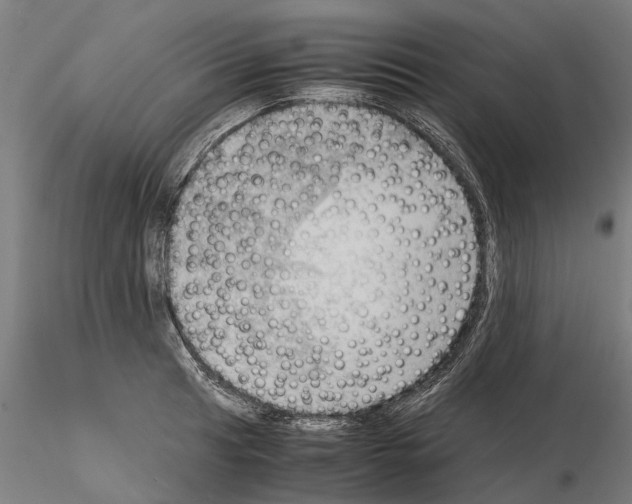 X0000115101041200912081254