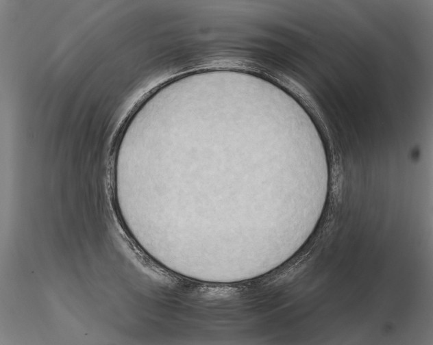 X0000115101043200912081254