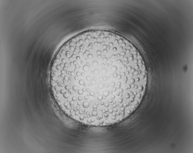 X0000115101044200912081254