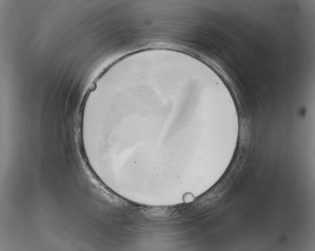 X0000115101048200912081254