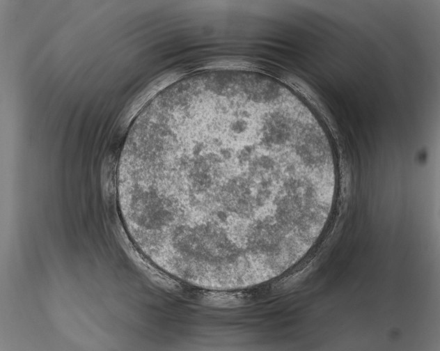 X0000115101049200912081254