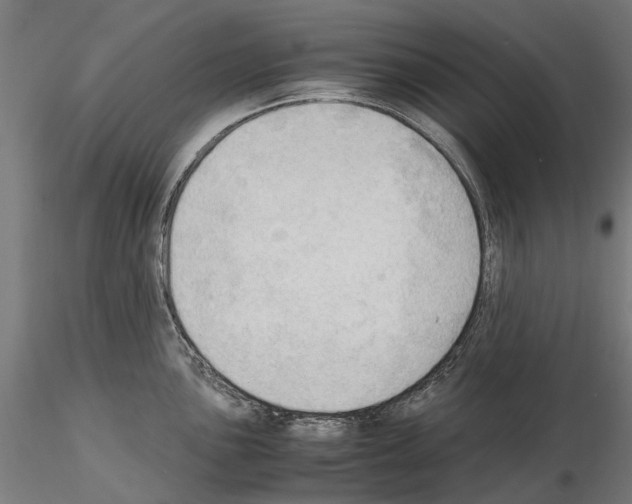 X0000115101051200912081254