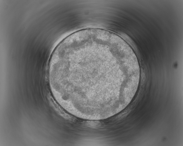 X0000115101052200912081254