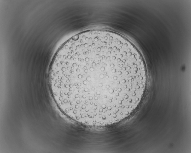 X0000115101053200912081254