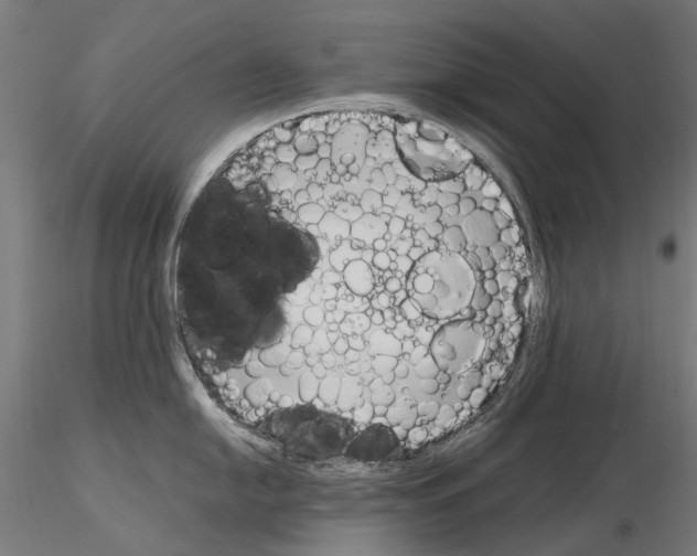 X0000115101054200912081254