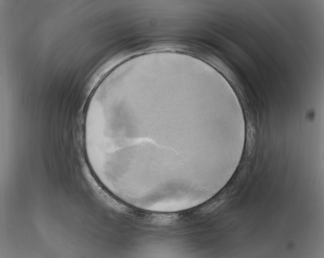 X0000115101055200912081254