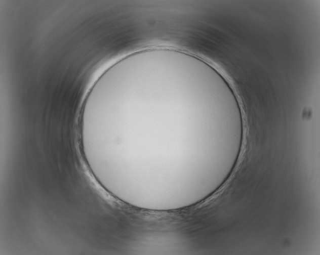 X0000115101056200912081254