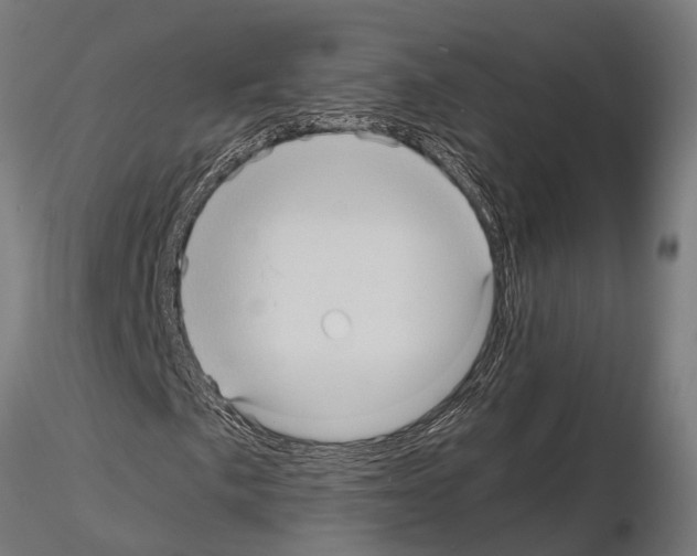 X0000115101057200912081253