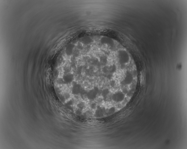 X0000115101059200912081253