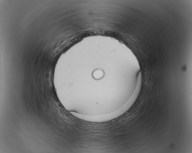 X0000115101060200912081253