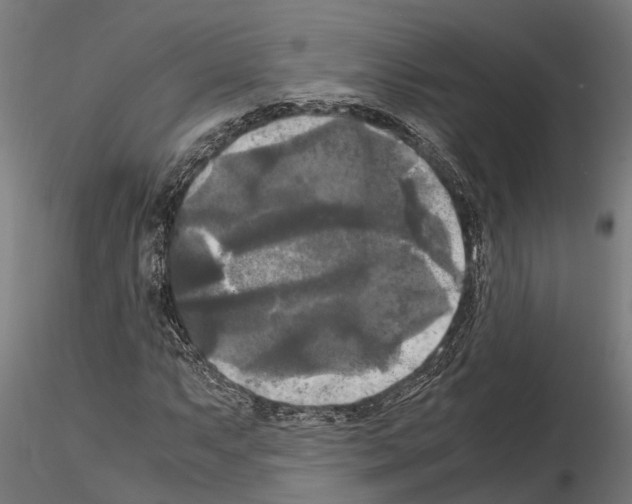 X0000115101063200912081253