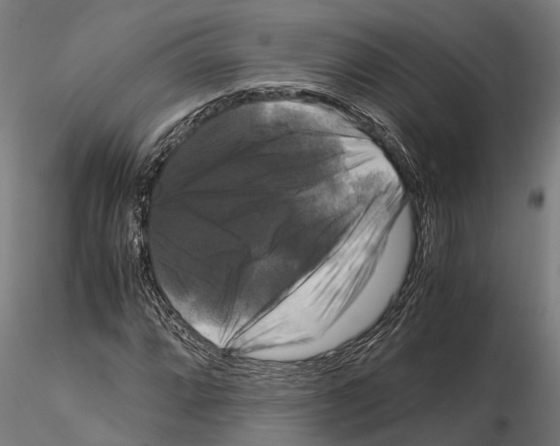 X0000115101064200912081253