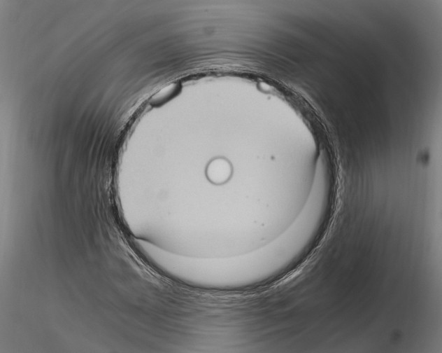 X0000115101065200912081253