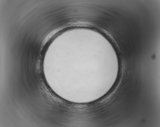 X0000115101066200912081253