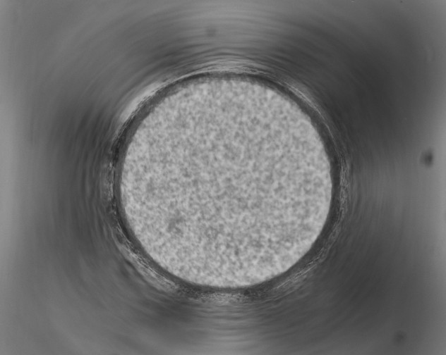 X0000115101067200912081253