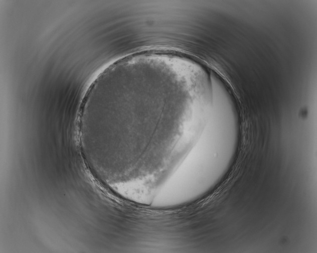 X0000115101068200912081253