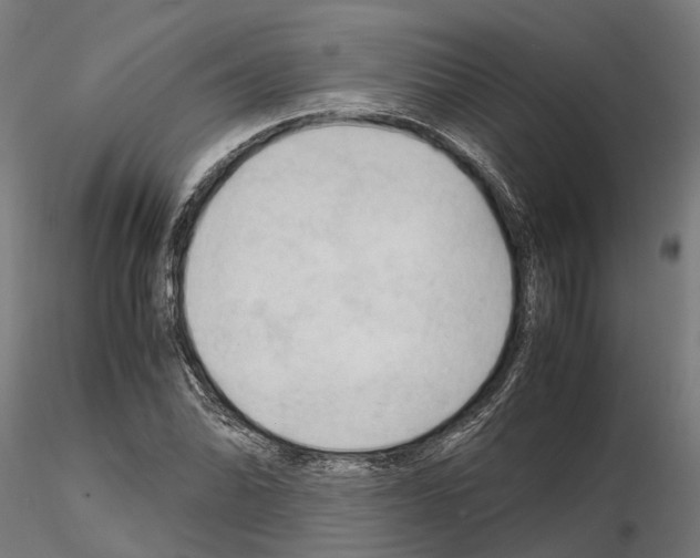 X0000115101070200912081253