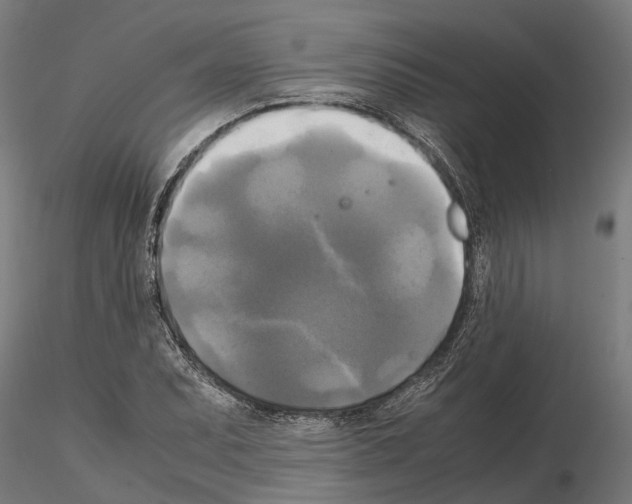 X0000115101071200912081253