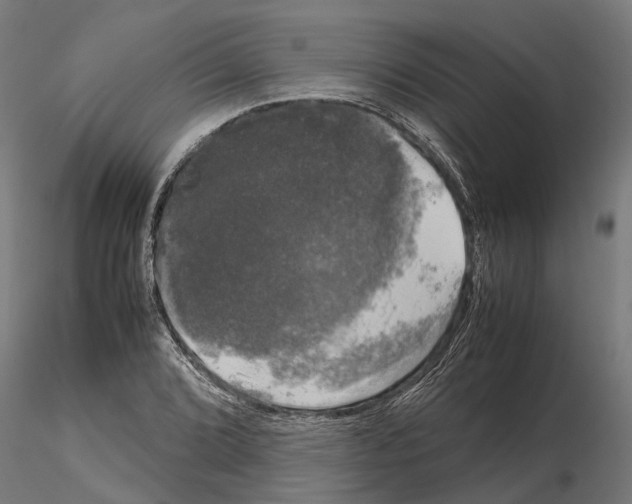 X0000115101072200912081253