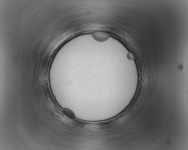 X0000115101073200912081253