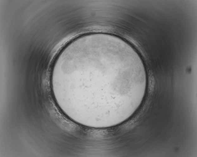 X0000115101074200912081253