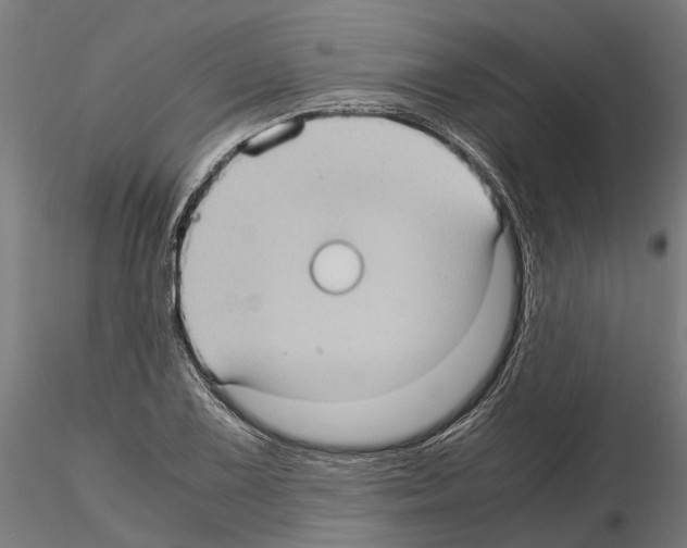 X0000115101075200912081253