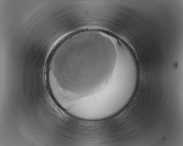 X0000115101076200912081253