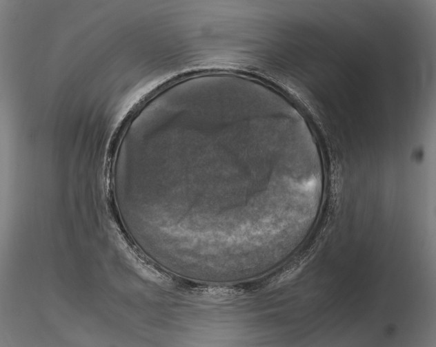 X0000115101077200912081253