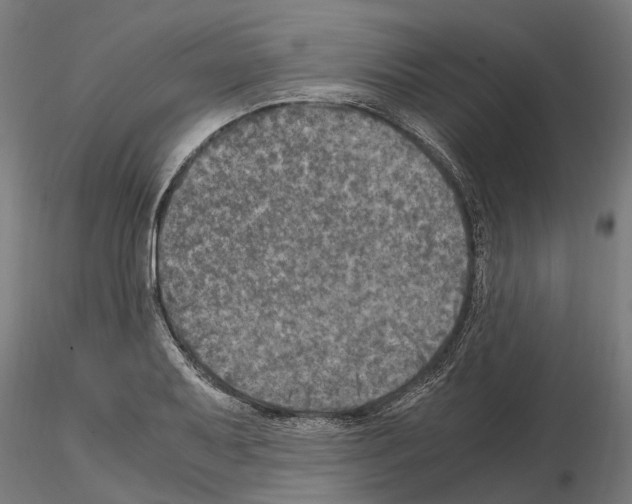 X0000115101079200912081253