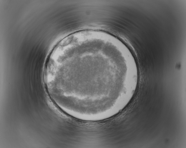 X0000115101080200912081253